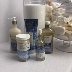 NWT  Reviving Rain Bath and Body Works Set